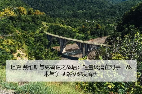 tan-ke-dai-wei-si-yu-ke-lu-zi-zhi-zhan-hou-qing-liang-ji-qian-zai-dui-shou-zhan-shu-yu-zheng-guan-lu-jing-shen-du-jie-xi-2-362.jpg