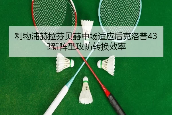 li-wu-pu-he-la-fen-bei-he-zhong-chang-shi-ying-hou-ke-luo-pu-xin-zhen-xing-gong-fang-zhuan-huan-xiao-lv-2-882.jpg