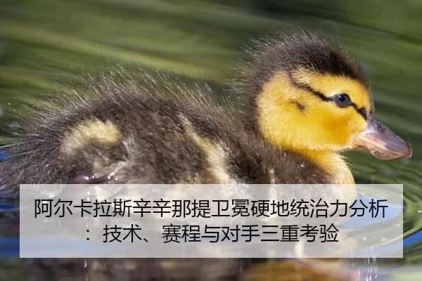 a-er-ka-la-si-xin-xin-na-ti-wei-mian-ying-di-tong-zhi-li-fen-xi-ji-shu-sai-cheng-yu-dui-shou-san-chong-kao-yan-2-399.jpg
